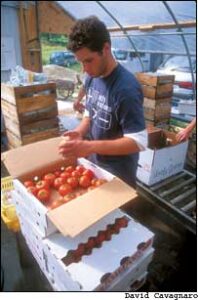 Join the Real Food Revival Image